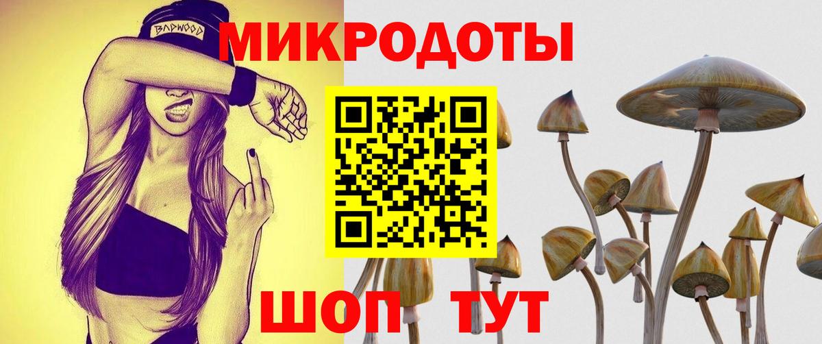 Боровичи  Галлюциногенные грибы GOLDEN TEACHER  Вход с VPN 