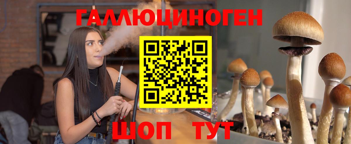 Галлюциногенные грибы GOLDEN TEACHER Боровичи